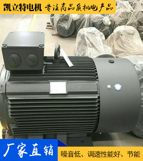 YE2/Y2/Y普通三相異步電動機(jī)